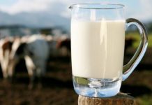 Merrni vitaminat tuaja ditore me një gotë qumësht