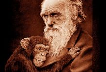 Mashtrimi i evolucionit (Video)