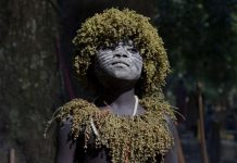 Të izoluar prej 55000 vitesh, tani rrezikojnë zhdukjen / FOTO