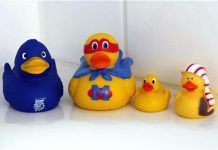 Lodrat prej gome, janë bartëse të bakterieve