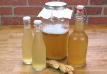 Uji me xhenxhefil: Pija e shëndetshme që djegë dhjamin