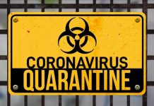 Një ditë në karantinë (shembull ideal i organizimit)